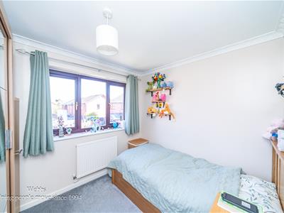 Picture 19